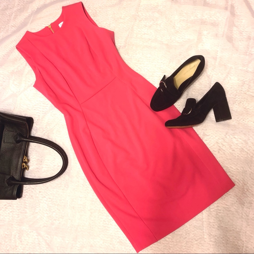 Calvin Klein Sheath Dress Cabaret Pink Size 4